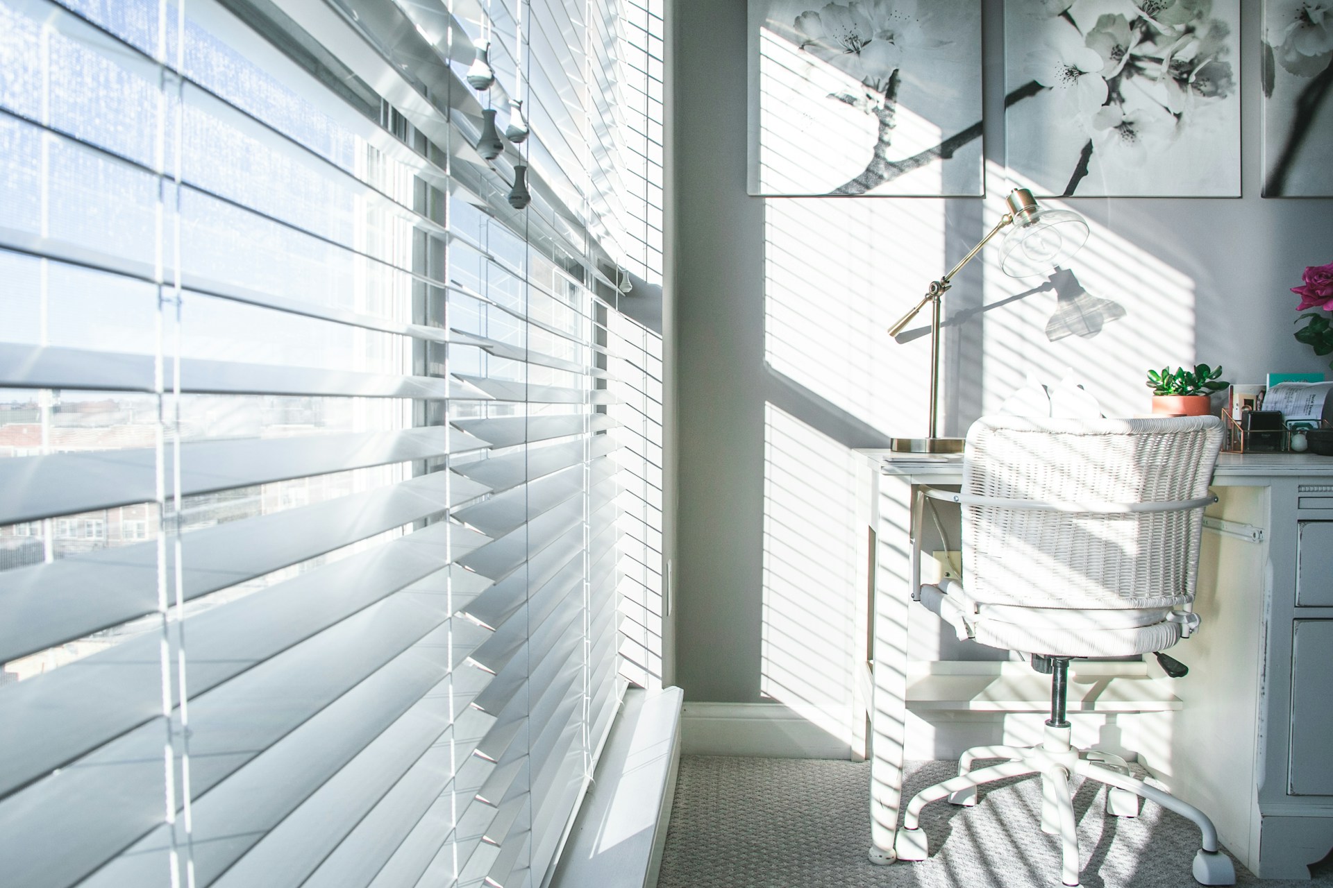 Are Blinds Online the Right Fit for Your Windows?