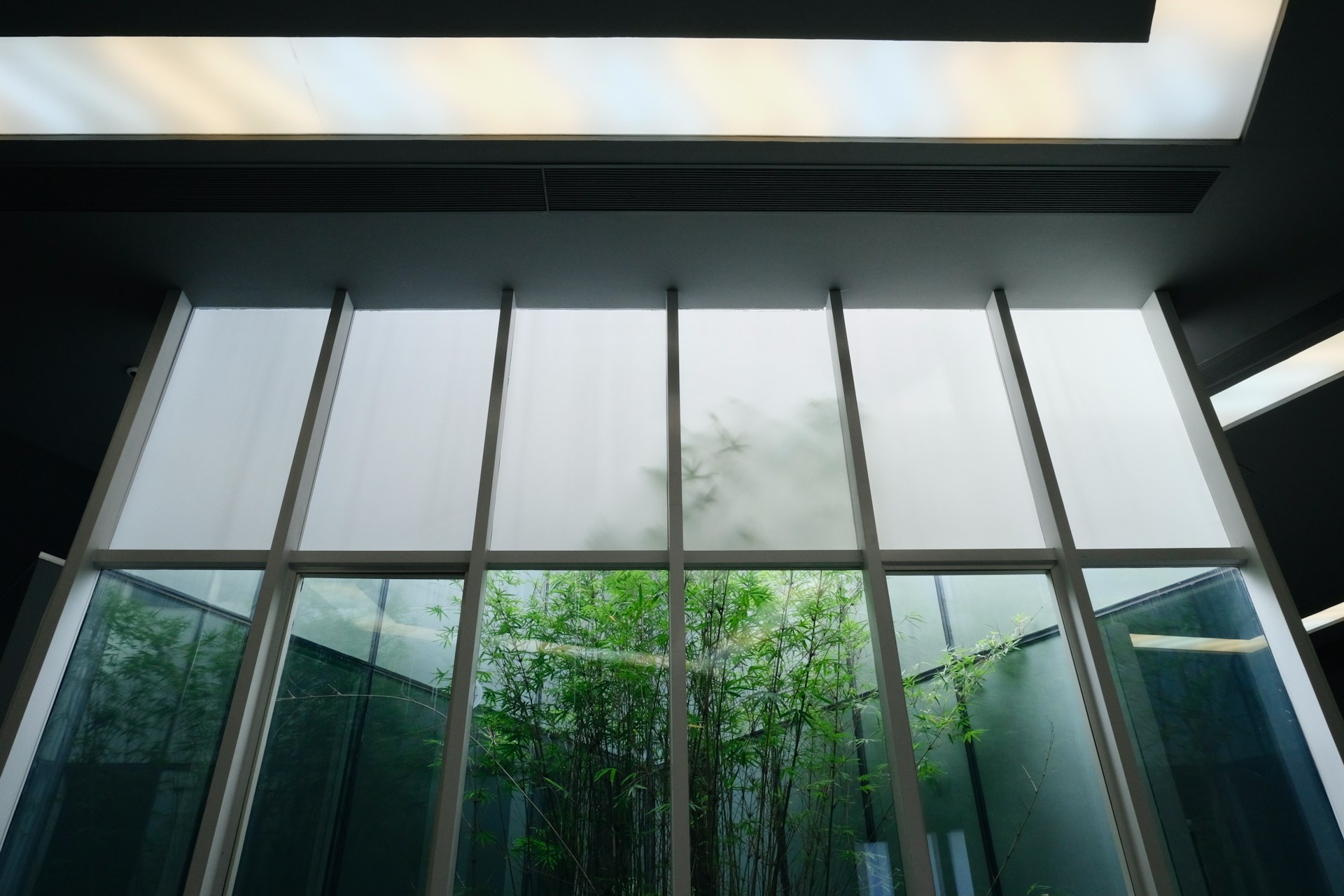 Steel Windows